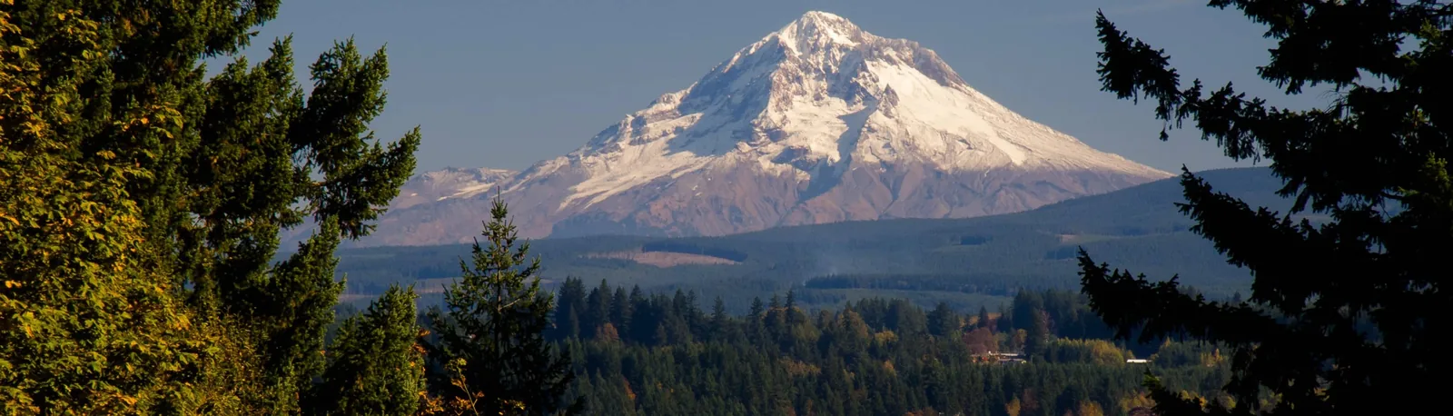 Living in Estacada, Oregon